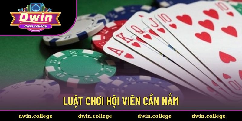 Nguyên tắc tham gia giải trí