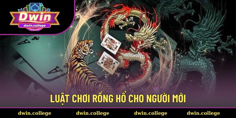 Hướng dẫn chơi rồng hổ chi tiết